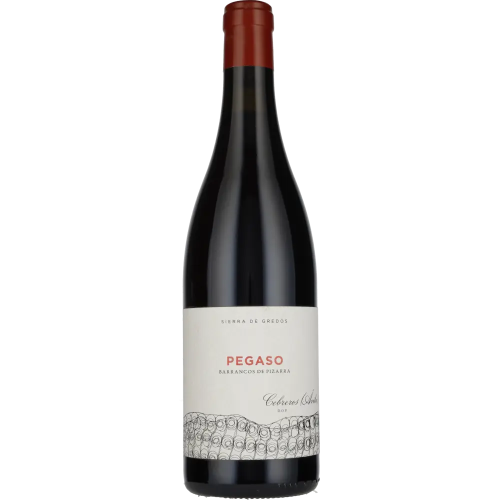 2021 Pegaso Granito Cebreros Telmo Rodriguez 2021