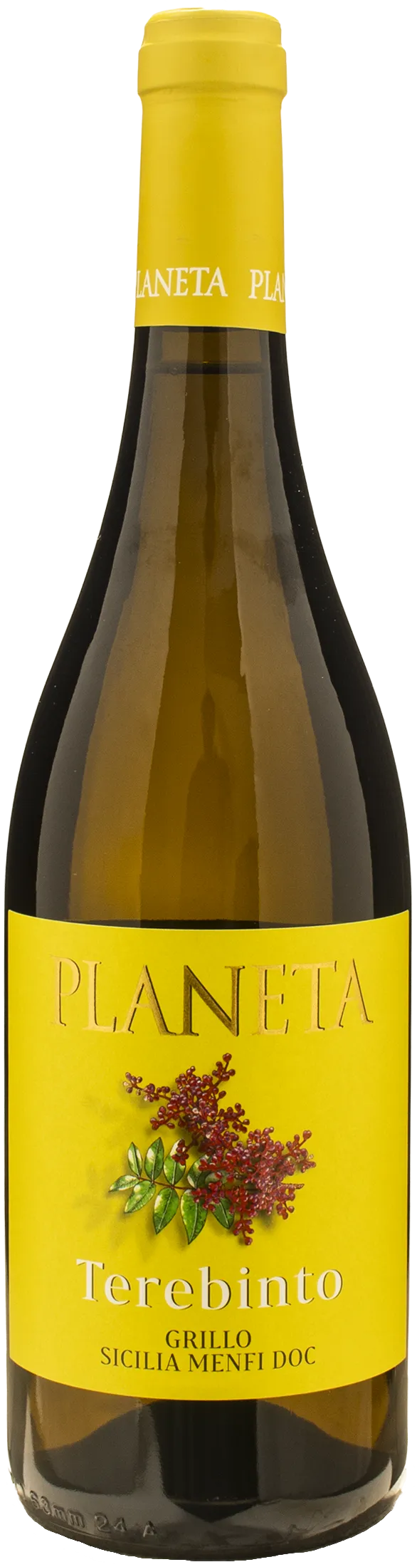 Planeta Terebinto Grillo 2025